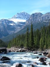 Jaquie Dobie Counselling Services